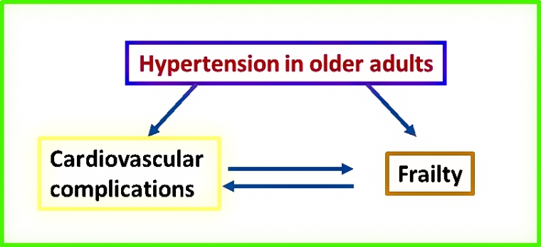 Hypertension in older adults